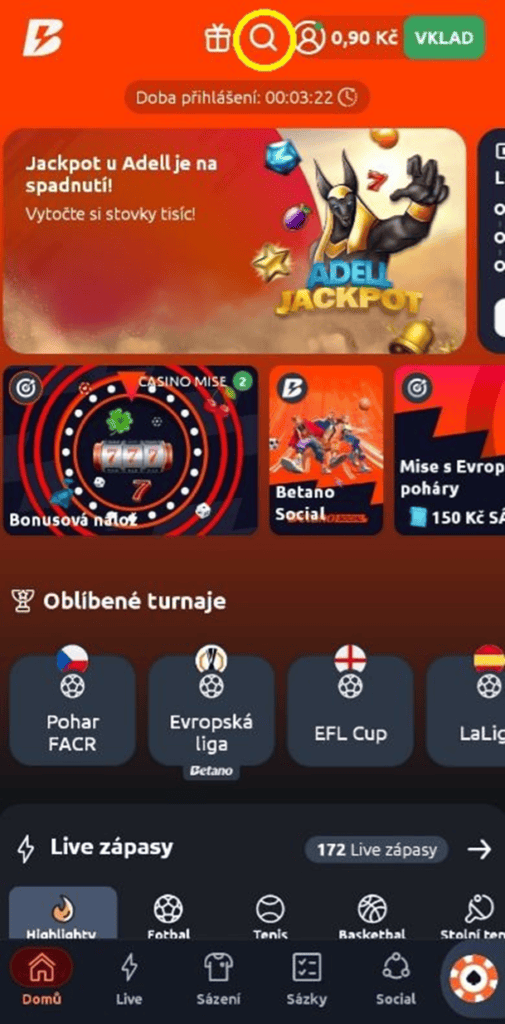 Funkce prozkoumat