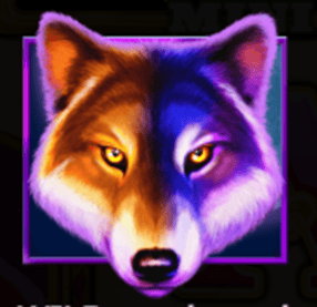 Wild symbol