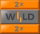 Wild symbol