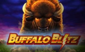 Buffalo Blitz