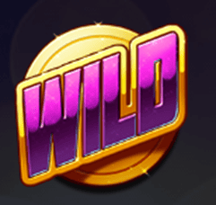 Wild symbol
