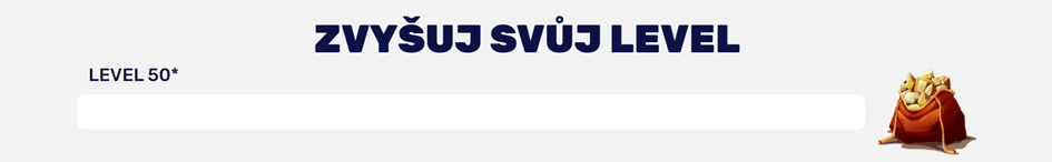 Přehled aktuální progresu ve věrnostním programu