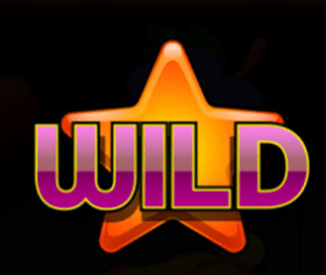 Wild symbol