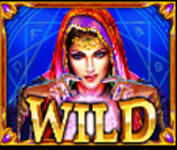Wild symbol