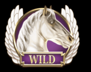 Wild symbol