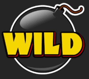 Wild symbol