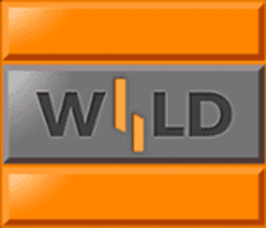 Wild symbol