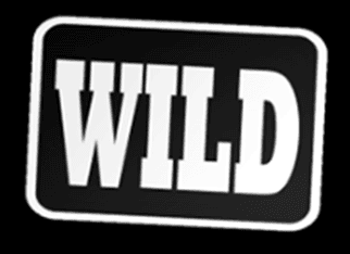 Wild symbol