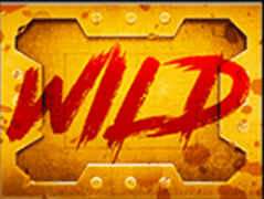 Wild symbol