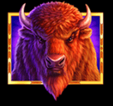Wild symbol