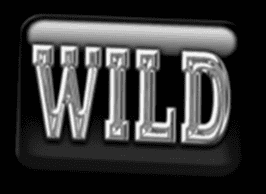 Wild symbol