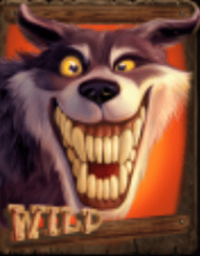 Wild symbol
