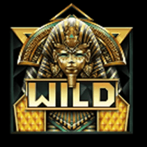 Wild symbol