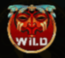 Wild symbol