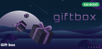 Gift boxy