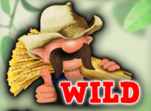 Wild symbol