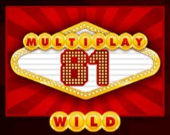 Wild symbol a multiplikátor výher