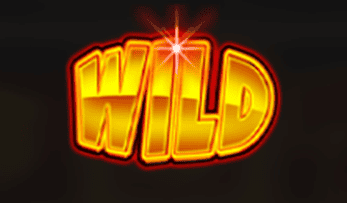 Wild symbol