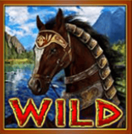 Wild symbol