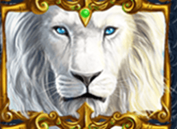 Wild symbol