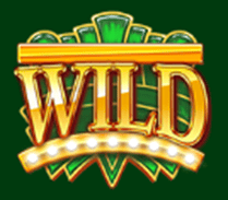 Wild symbol