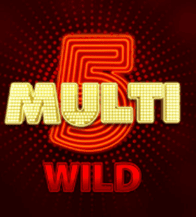 Wild symbol a multiplikátor výher
