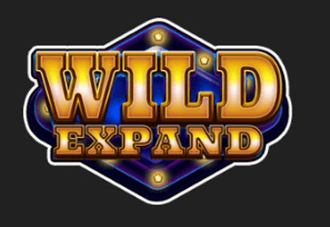 Wild symbol