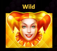 Wild symbol