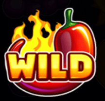 Wild symbol