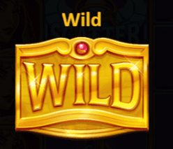 Wild symbol