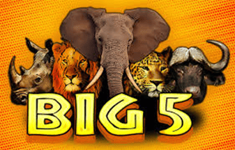 Big 5
