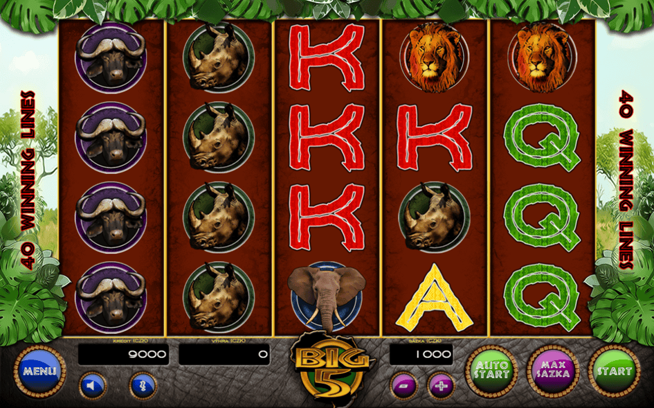 Big 5 hra