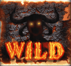 Wild Symbol
