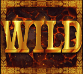 Wild symbol