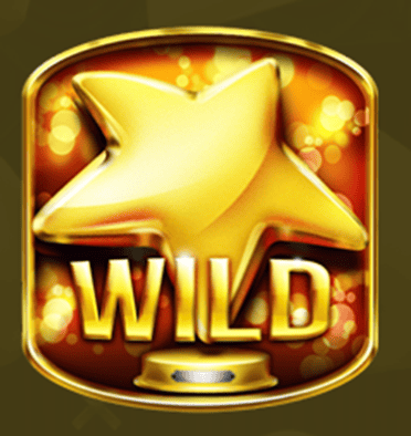 Wild symbol