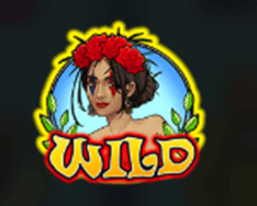 Wild symbol