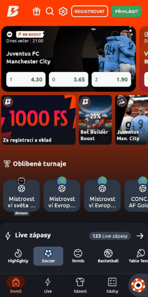 Mobilní aplikace