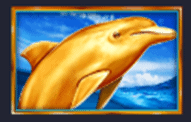Symbol delfína