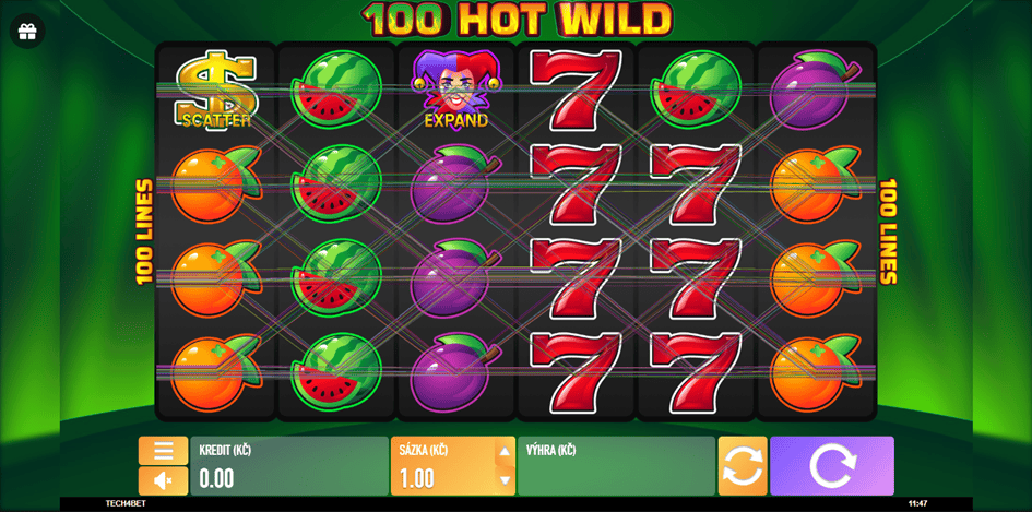 100 Hot Wild