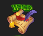 Wild symbol
