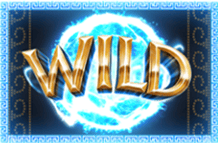 Wild symbol