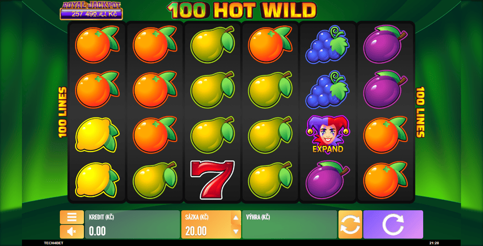 100 Hot Wild