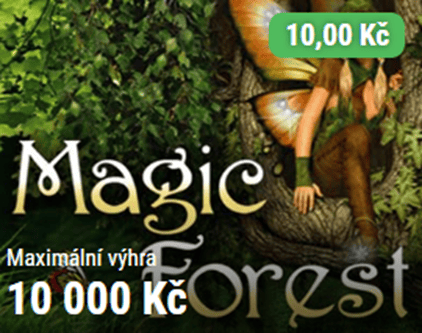 Vyberte Magic Forest