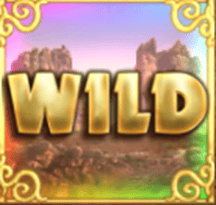 Wild symbol
