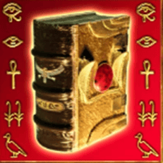 Symbol knihy
