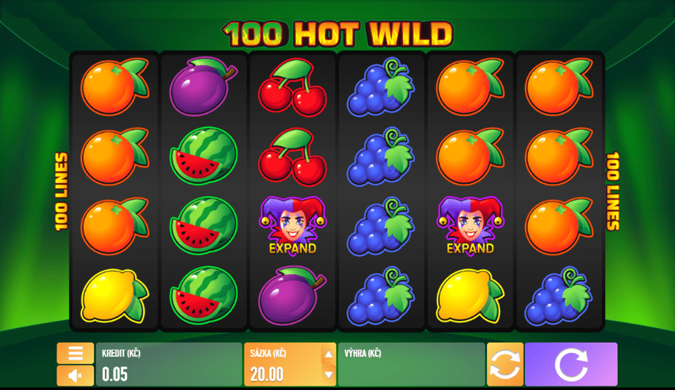 100 Hot Wild