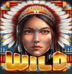 WILD symbol