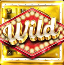 Wild symbol