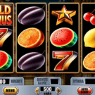 Wild Bonus
