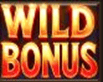 WILD symbol